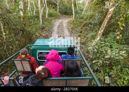 Sauraha, Nepal - 20. Januar 2020: Menschen auf einer Jeep-Safari im Chitwan-Nationalpark in Nepal Stockfoto