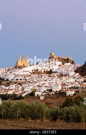 Spanien, Andalucia, Provinz Cadiz, weißes Dorf Olvera, die Liebfrauenkirche der Menschwerdung und die arabische Festung Stockfoto