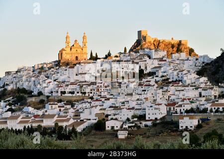 Spanien, Andalucia, Provinz Cadiz, weißes Dorf Olvera, die Liebfrauenkirche der Menschwerdung und die arabische Festung Stockfoto