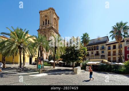 Spanien, Andalusien, Granada, plaza Romanilla und die Kathedrale Stockfoto