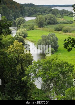 Elbe bei Hitzacker vom Weinberg, Elbtalaue, Wendland Stockfoto