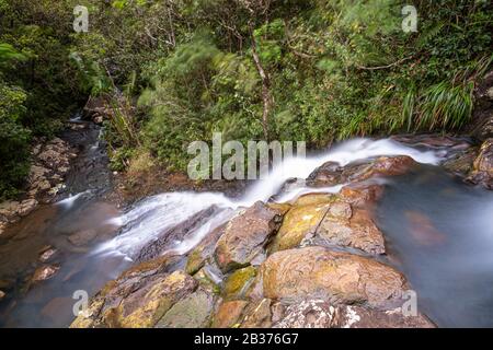 Mauritius, Savanne District, Black River Gorges National Park, Alexandra Falls Stockfoto