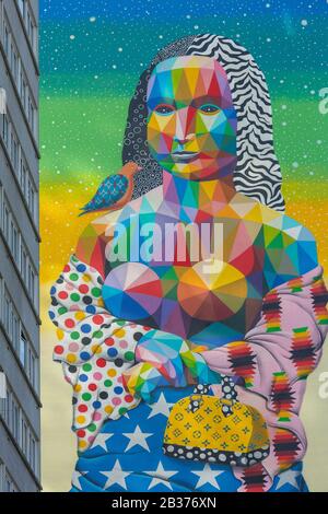 Frankreich, Paris, Wandgemälde an der Fassade eines Apartmentgebäudes namens Mona Lisa vom Straßenkünstler Okuda San Miguel in der Avenue d'Ivry Stockfoto