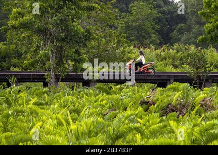 Indonesien, Papua, Asmat-Distrikt, Agats Stockfoto