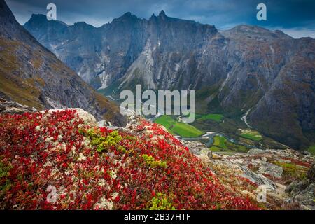 Herbstfarben und Bergwelt im Romsdalen Tal, Rauma Kommune, Møre og Romsdal, Norwegen. Stockfoto