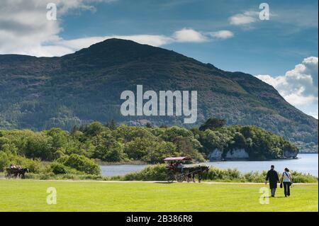 Touristen, die auf dem Gelände des Muckross House im Killarney National Park spazieren und Autos auf dem Weg jaubern Stockfoto