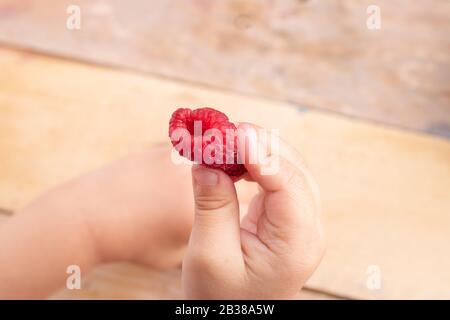 Junge hält hässliche Erdbeere in ihrem Finger, in den Händen der Kinder und an ihrem Platz für Text Stockfoto