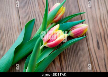 Tulpen am 8. März. Pink-gelbe Knospen auf Holzhintergrund Stockfoto