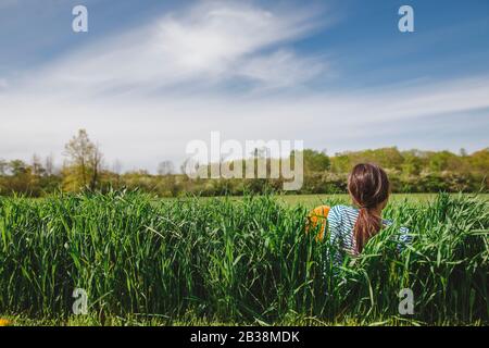 Rückansicht des Mädchens, das in einem hohen Grasfeld gegen einen strahlend blauen Himmel sitzt Stockfoto