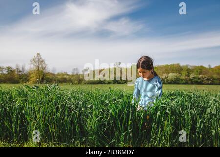 Ein Mädchen zwischen den Frauen sitzt in einem grasbewachsenen Feld im Frühling ruhig lesen Stockfoto