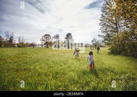 Rückansicht einer Familie, die an einem sonnigen Tag durch hohes, grünes Gras läuft Stockfoto