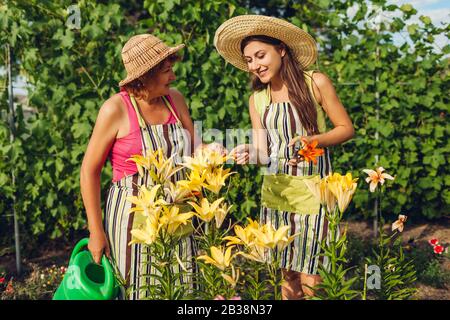 Frauentag, Muttertag. Seniorin und ihre Tochter versammeln Blumen im Garten und pflegen Liliensblüten. Stockfoto