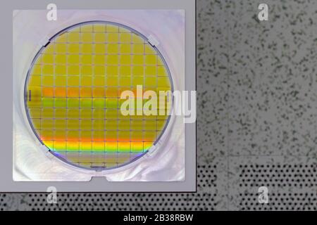 Silizium-Wafer in Stahlhalter auf einem Tisch - EIN Wafer ist eine dünne Scheibe Halbleitermaterial, wie ein kristallines Silizium, in der Elektronik für verwendet Stockfoto