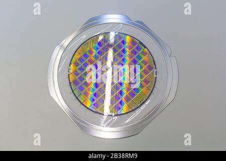 Siliziumwafer mit Mikrochips in der Halterung mit Stahlrahmen auf dem grauen Hintergrund fixiert und bereit für den Prozess. Stockfoto