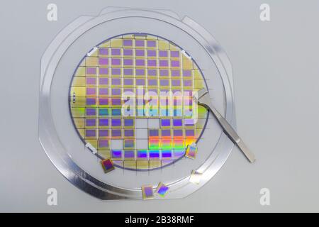 Siliziumwafer mit Mikrochips, in einem Halter mit einem Stahlrahmen auf einem grauen Hintergrund nach dem Prozess des Würfelens fixiert. Microchip Trennung mit Stockfoto