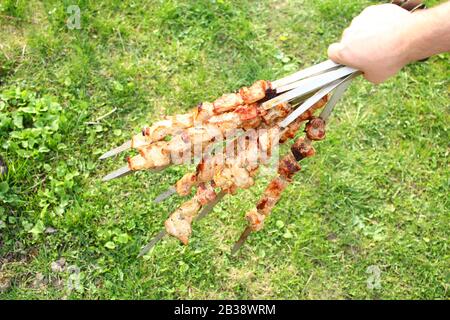 Herrenhände halten Spieße mit gebratenem Fleisch über dem Grün Gras Stockfoto