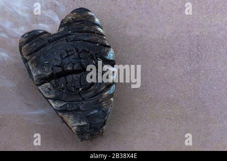 Kohlen im Feuer, Kohle in Form von Herzen Stockfoto