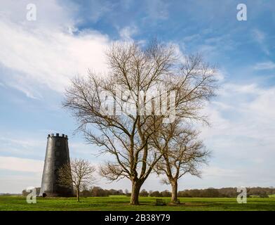 Black Mill, ein lokales Wahrzeichen, das im Winter in der Nähe von Beverley, Yorkshire, Großbritannien von grünen Bäumen unter blauem Himmel im Westwood flankiert wird. Stockfoto