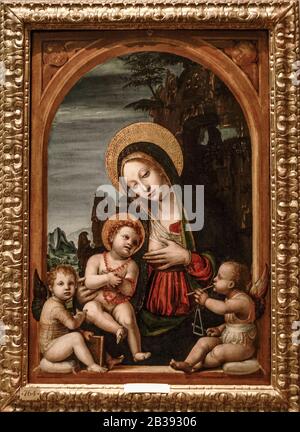 Italien Lombardei Milan Brera Art Gallery - Bernardino Zenale - Madonna und Kind und zwei Musikerengel Stockfoto