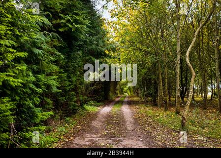 Öffentliche Wanderwege verbinden eine Stadt mit der nächsten in ganz England, dieser liegt in der Nähe von Bibury nach Burford in den Cotswolds. Stockfoto