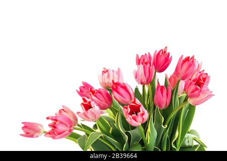 Blumenstrauß aus rosafarbenen Tulpen isoliert über weißem Hintergrund. Platz für Text kopieren Stockfoto