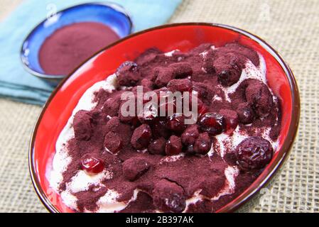 Gesunder Snack für die Detox-Ernährung: Nahaufnahme der isolierten roten Schüssel mit Granatapfelsamen, getrockneten Preiselbeeren, Aronia-Pulver und weißem Joghurt Stockfoto