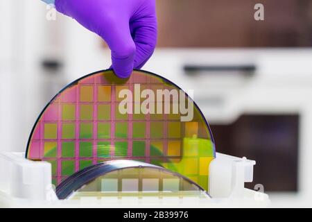 Silikon-Wafer mit Halbleitern in Kunststoff weißen Aufbewahrungsbox mit Handschuhen im Reinraum herausnehmen. Stockfoto