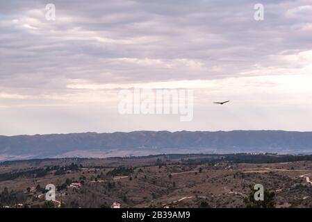 Schwarzer Geier, Buzard oder schwarzer Jote, der über ein Tal mit einer Bergkette auf dem Rücken fliegt Stockfoto