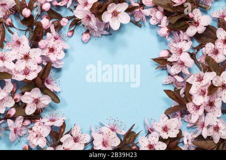 Im Frühjahr die Kirschblüte auf blauem Hintergrund mit Kopie Raum Stockfoto