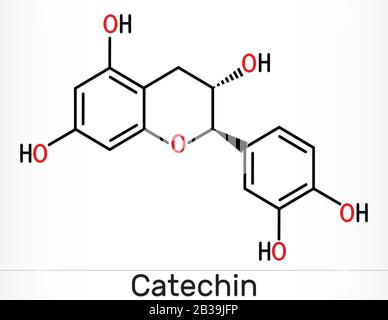 Katechin, Flavonoid, C15H14O6-Molekül. Es ist Flavanol, eine Art natürliches Phenol und Antioxidationsmittel. Skelettchemische Formel. Abbildung Stockfoto