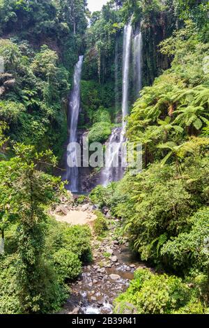 Sekumpul Wasserfälle umgeben von tropischen Wäldern in Bali, Indonesien. Stockfoto