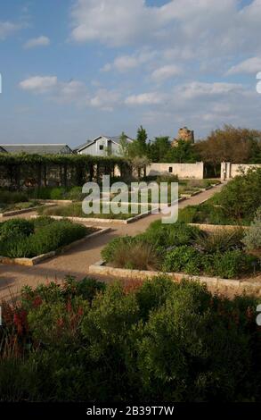 Austin Texas USA, April, 2004: Einheimische Pflanzen werden während der Frühjahrswildblumensaison im Lady Bird Johnson Wildflower Research Center in Hochbetten ausgestellt. ©Bob Daemmrich Stockfoto