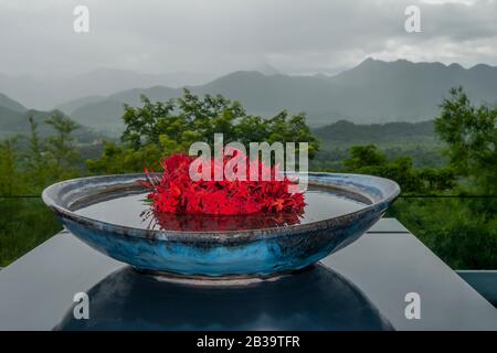 Schöne Vase roter Blumen mit den Bergen des Hellfire-Passes im Hintergrund, Provinz Kanchanaburi, Thailand Stockfoto