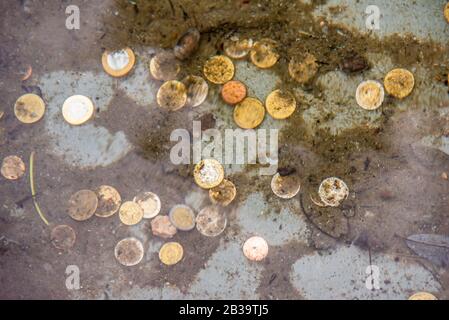 Münzen am Boden eines Brunnens, die durch die Vergrößerung des Wassers zu ihrer Verformung gesehen werden Stockfoto