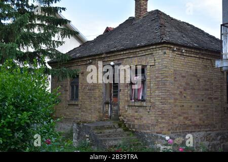 Altes Haus mit üppigem Grün neben dem neuen hohen Haus Stockfoto