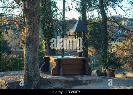 Ein Wasserbrunnen aus Holz mit einem Kirchturm, umgeben von einem kleinen Hain Stockfoto