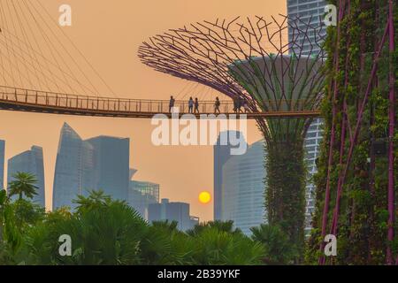 SINGAPUR, SINGAPUR - DEZEMBER 16 2018: Nachtansicht am Supertree Skywalk in Gardens by the Bay in SingapurDer wunderschöne Sonnenuntergang Supertree Grove bei Stockfoto