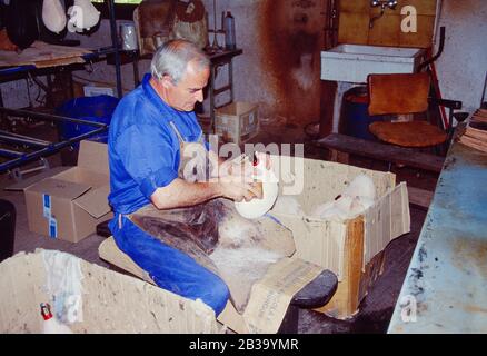 Man stellt typische Botas her, Lederbehälter für Wein. Covarrubias, Provinz Burgos, Castilla Leon, Spanien. Stockfoto