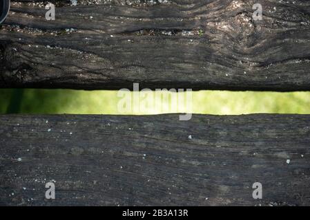 Eine Holzbrückenlücke mit einem verschwommenen Sumpf-Duckweed. Mit Schwerpunkt auf dem Holz Stockfoto