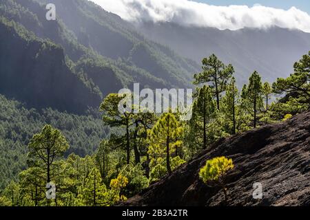 Phänomen des Wolken-Wasserfalls auf der Insel La Palma, Spanien in der Nähe des Aussichtspunkts Cumbrecita in der Caldera de Taburiente Stockfoto