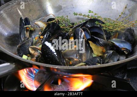 Gedämpfte Muscheln in einem Topf bei einem Brand Stockfoto