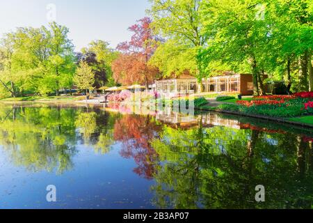 Feder Teich im Park Stockfoto