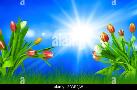 Ein farbenfroher Frühlingshintergrund mit Tulpen und strahlender Sonne Stockfoto