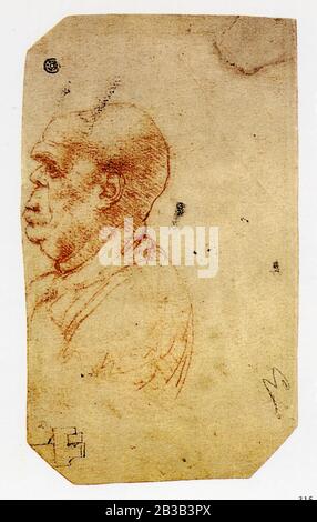 Leonardo da Vinci. Karikaturprofil eines alten Mannes. 1490-1498 Stockfoto