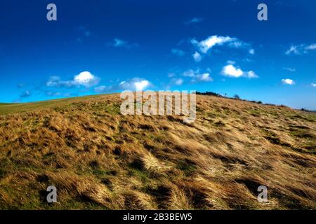 Landschaft, Aberdeen Golf Club mit Wolken und Rasenplatz. Nigg Bay, Schottland. Stockfoto