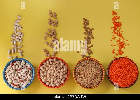 Rote und braune Linsen, Kichererbsen und weiße Bohnen sind Hülsenfrüchte, die viel Eiweiß enthalten, befinden sich auf gelbem Grund in Schüsseln Stockfoto