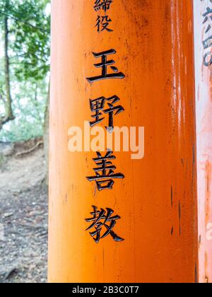 Wunderschöne orangefarbene Tori-Tore führen zum Fushimi Inari Taisha-Schrein, das zum UNESCO-Weltkulturerbe gehört. Stockfoto