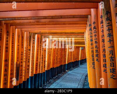 Wunderschöne orangefarbene Tori-Tore führen zum Fushimi Inari Taisha-Schrein, das zum UNESCO-Weltkulturerbe gehört. Stockfoto
