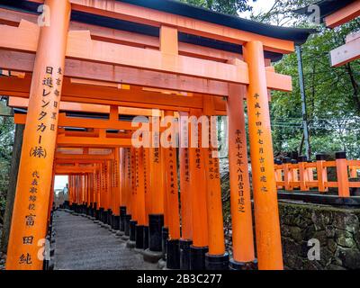 Wunderschöne orangefarbene Tori-Tore führen zum Fushimi Inari Taisha-Schrein, das zum UNESCO-Weltkulturerbe gehört. Stockfoto