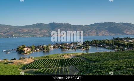 Blick Auf Die Sommerweinkellerei. Luftaufnahme der Weinberge von Kelowna rund um den Okanagan-See mit Bergen im Hintergrund. Kelowna ist für seine Weingüter bekannt Stockfoto